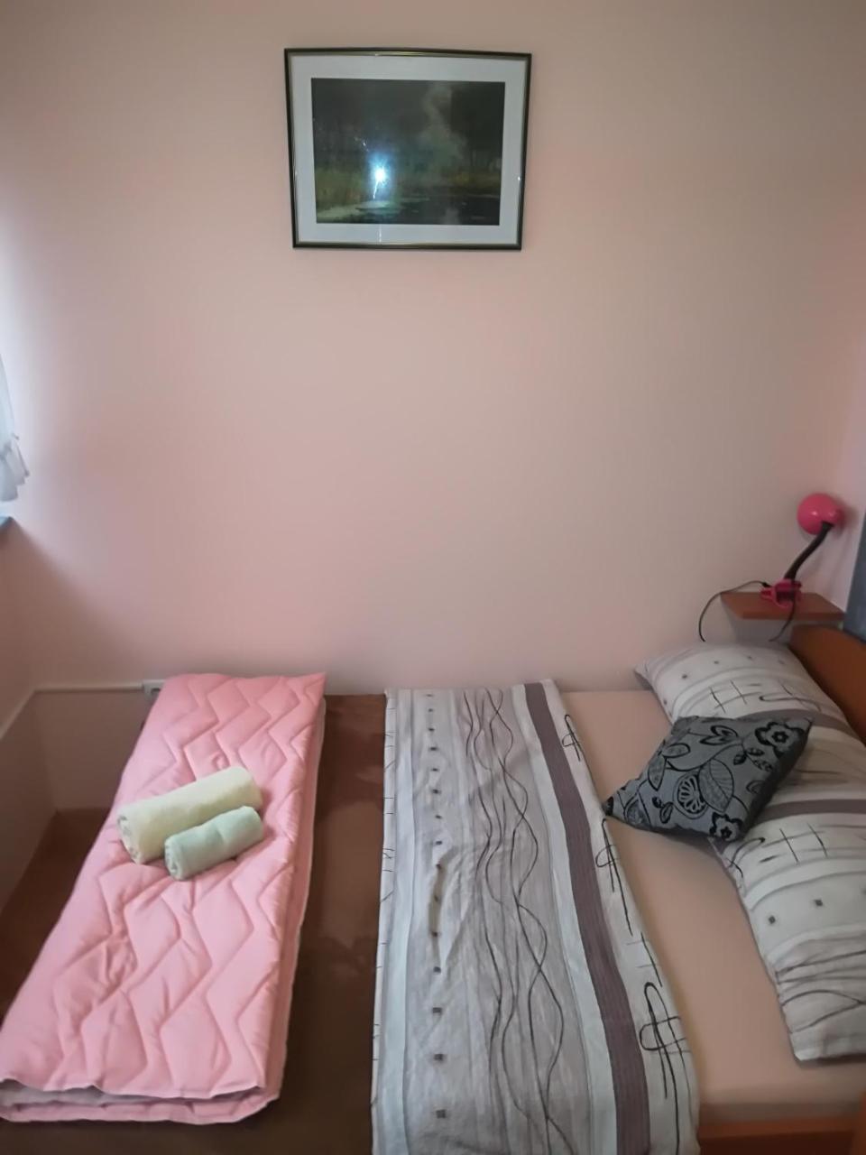 Guesthouse Sava Σλαβόνσκι Μπροντ Εξωτερικό φωτογραφία